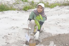 Srikandi PLN UPP KLB 3 dukung pelestarian habitat orang utan