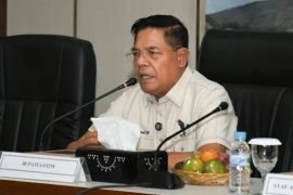 Pertumbuhan ekonomi Lombok Timur ditopang pertanian