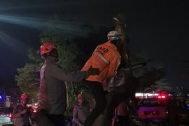 BPBD Sumedang gencarkan pangkas pohon rawan tumbang di jalan nasional