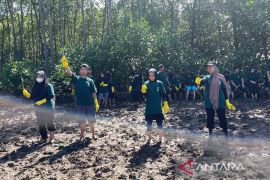 HLH 2026, 50 difabel netra ikuti penanaman mangrove