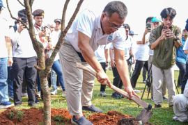 Cegah Banjir dan Bangun Ketahanan Iklim, Menteri LH Targetkan Penanaman 2 Miliar Pohon