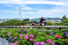 Ride Through a Sea of 900,000 Hydrangeas: Ulsan Namgu's 5th Jangsaengpo Hydrangea Festival Unveils the New Whale Kart