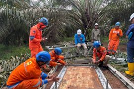 PLN Pasang Tower Emergency dan Kerahkan Ratusan Personel untuk Percepat Pemulihan Sistem Kelistrikan Sumatera Utara