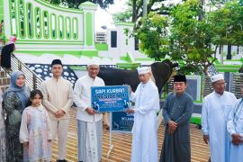 Bupati Hurmin serahkan Sapi bantuan Presiden RI ke masjid al-falah Sarolangun