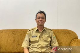 ESDM siapkan skema jarungan mandiri untuk PLTS di wilayah kepulauan Sultra