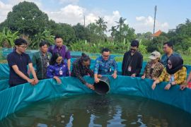 Denpasar serahkan bantuan sapras untuk Kelompok Pembudidaya Ikan (Pokdakan)