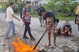 Polresta Jayapura musnahkan tiga kilo gram ganja milik lima tersangka
