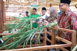 Baznas dirikan Balai Ternak untuk berdayakan mustahik di Kendal