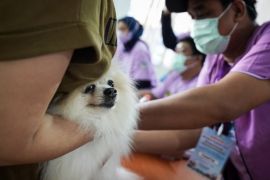 Realisasi vaksinasi hewan penular rabies di Jakbar capai 40,48 persen