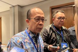 Kementerian ESDM akan revisi RUPTL PLN untuk dukung PLTS 100 GW