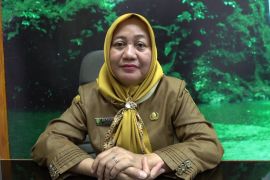 Dinkes: Kasus campak di Sumsel nihil sejak Mei 2026