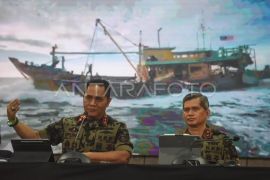 KKP lepaskan 1.300 ikan Napoleon di kawasan konservasi Sulut