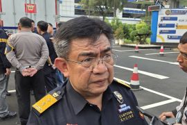Bea Cukai pastikan ekspor berjalan seperti biasa selama transisi DSI