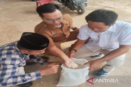 Pemkab pastikan beras bantuan di Bangkalan berkualitas baik
