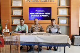Polisi meringkus pencuri burung seharga jutaan rupiah di Bantul