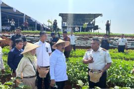 Menteri Imipas tinjau sarana asimilasi dan edukasi di Lapas Warungkiara