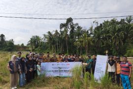Pulihkan Luka Pasca-Banjir Bandang, 1011 Pohon Ditanam di Salareh Aia Agam