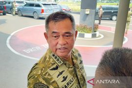 KSAD: TNI hanya bantu proyek yang tak terjangkau kementerian