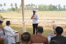 Indonesia advances integrated biofuel plant project in Lampung