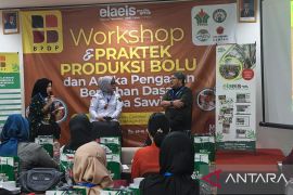 Pelaku UMKM Jambi dilatih olah sari pati sawit jadi kue bolu