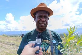 Pemprov Papua Pegunungan dorong program "Hijaukan Lembah" guna jaga lingkungan