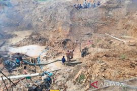 Tambang emas ilegal di Madina: antara harapan ekonomi dan ancaman lingkungan