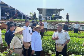 Komisi XIII DPR sebut program ketahanan pangan Imipas jadi terobosan