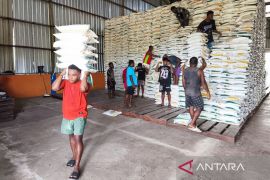 Bulog Nabire tuntaskan penyaluran bantuan pangan di lima kabupaten