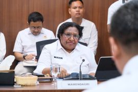 Govt supports accelerated national food, energy hub in South Papua