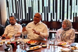 PT Timah: Data center dan solar panel bakal dorong permintaan timah