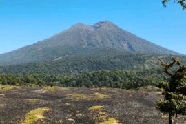 Kawasan savana di Gunung Rinjani-NTB rentan kebakaran pada musim kemarau