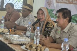 DPKP Sumedang perkuat perlindungan petani tembakau sehingga produktif