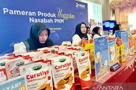 Wagub: Perempuan pelaku UMKM jadi penopang ekonomi keluarga