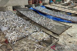 Pemkot Bengkulu usulkan bantuan Rp500 juta untuk sarpras nelayan