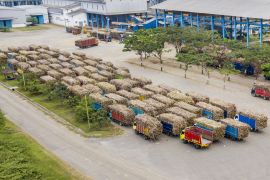 PG GMM belum beroperasi, PT SGN siap serap hasil panen tebu petani Blora