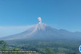 Semeru enam kali erupsi dengan tinggi letusan hingga 1.000 meter