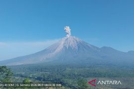 Semeru enam kali erupsi dengan tinggi letusan hingga 1.000 meter