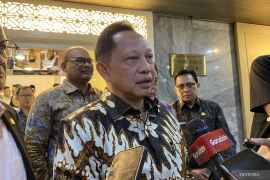 Mendagri ungkapkan ide kepala daerah dapat insentif dari PAD