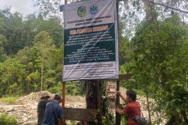 Dnas Lingkungan Hidup Parimo: Tidak ada alat berat di lokasi PETI Karya Mandiri saat penertiban