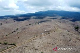 Membangun ulang lanskap hijau di NTB