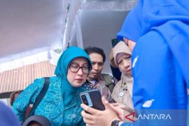 NTB manfaatkan kecerdasan buatan perkuat layanan kesehatan