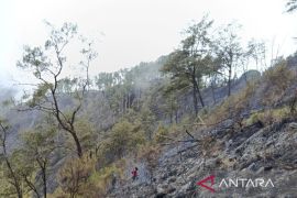 Kemenhut memadamkan kebakaran savana Bukit Sempana Lombok Timur