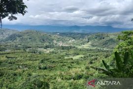Hutan Adat Lekuk Limapuluh Tumbi: Penjaga mata air yang mengharumkan Kerinci