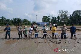 Bapeltan dampingi petani di Tanjab Timur gerakan tanam padi serentak