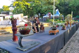 Dispar Kota Mataram optimalkan pendapatan melalui aplikasi "SiPeta"