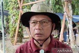 Pemkab Bangka Tengah galakkan tanam cabai dan bawang untuk kendalikan inflasi