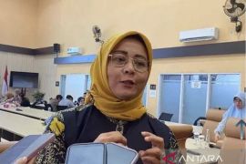 Dinas Pariwisata Kaltim targetkan Maratua Jazz 2026 jadi penggerak ekonomi