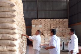 Bulog pastikan stok beras yang mencapai 10 juta kg aman buat sambut Galungan