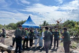 PLN UP3 Palu dan masyarakat tanam 1.000 mangrove di pesisir Teluk Palu
