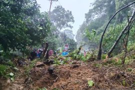 Material longsor tutupi jalan nasional, arus Padang-Painan ditutup total